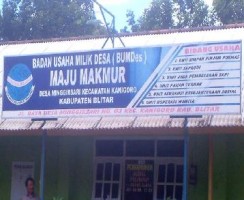 Lakukan Pemberdayaan Ekonomi Desa Melalui Badan Usaha Milik Daerah