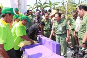 DEMPLOT, SOLUSI WUJUDKAN TEMBAKAU KADAR NIKOTIN RENDAH