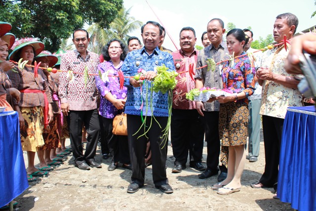 P2KP, PENINGKATAN DIVERSIFIKASI PANGAN