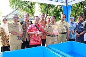 TINGKATKAN KUALITAS KOI BLITAR, KKP APLIKASIKAN PAKAN WARNA BALITBANGDIAS