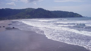 300 SUKARELAWAN LAKUKAN AKSI BERSIH-BERSIH PANTAI SERANG