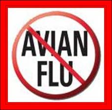 MEMASUKI MUSIM PENGHUJAN, DINAS PETERNAKAN KABUPATEN BLITAR MENGHIMBAU WASPADA FLU BURUNG