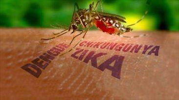 DINKES KAB. BLITAR BELUM MENEMUKAN WARGA YANG TERJANGKIT VIRUS ZIKA