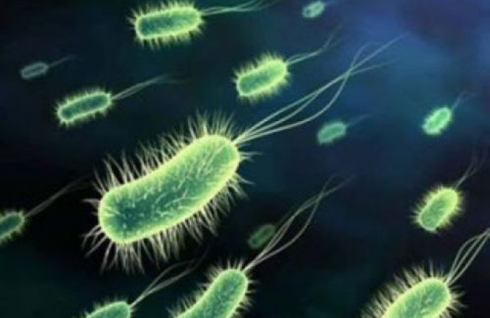 DINAS KESEHATAN KELUHKAN TINGKAT KESADARAN ORANG TUA TENTANG PENTINGNYA IMUNISASI DIFTERI