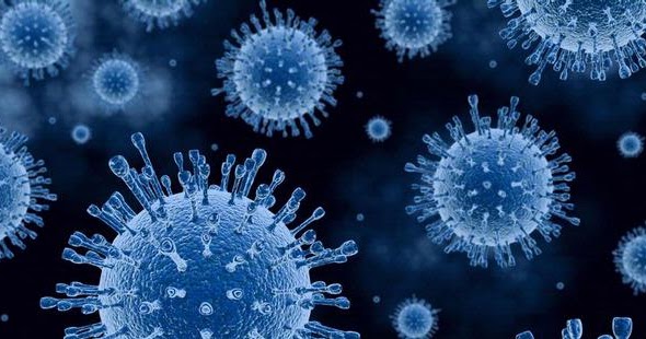 FLU SINGAPURA SUDAH MENJANGKIT 216 WARGA KAB. BLITAR