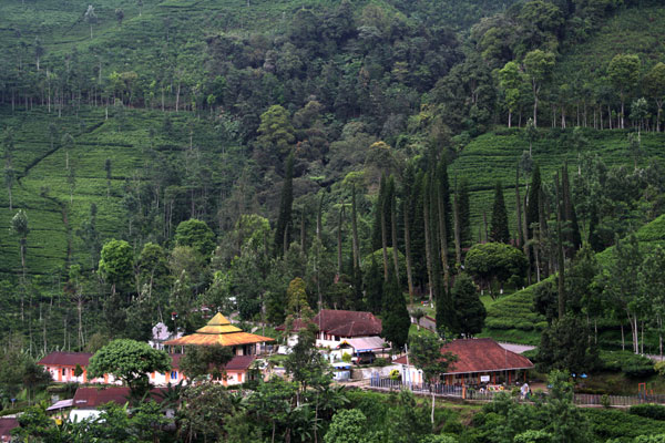 KOMISI III DPRD DORONG PEMERINTAH SEGERA MELAKUKAN PEMBANGUNAN INFRASTRUKTUR JALAN MENUJU NGADIRENGGO