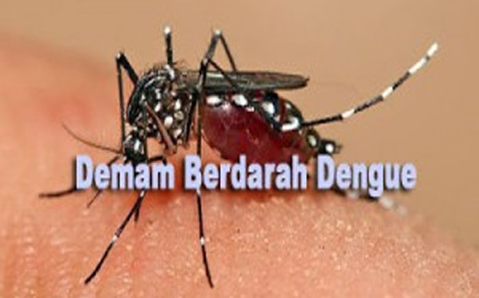 ANGKA PENDERITA DEMAM BERDARAH DI KABUPATEN BLITAR TAHUN INI MENURUN 15%, JIKA DIBANDINGKAN 2015 LALU
