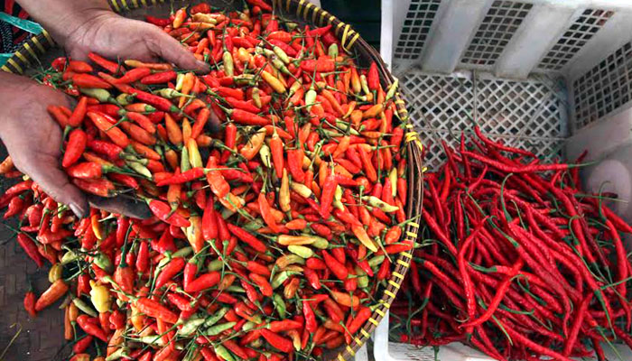 BUPATI BLITAR MEMINTA MASYARAKAT TIDAK CEMAS DENGAN KENAIKAN HARGA CABAI