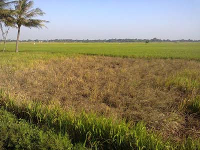 KARTU DAN ASURANSI TANI, WUJUD KOMITMEN PEMKAB.BLITAR TINGKATKAN KESEJAHTERAAN PETANI