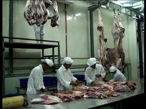 PEMKAB BLITAR PASTIKAN, DAGING SAPI YANG TIDAK DISEMBELIH DI RPH ATAU RPH TERMASUK ILEGAL