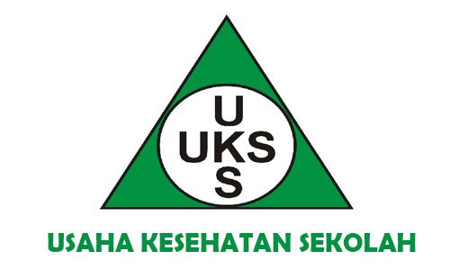 DINAS KESEHATAN MINTA PUSKESMAS RUTIN LAKUKAN PEMBINAAN KEPADA UNIT KESEHATAN SEKOLAH