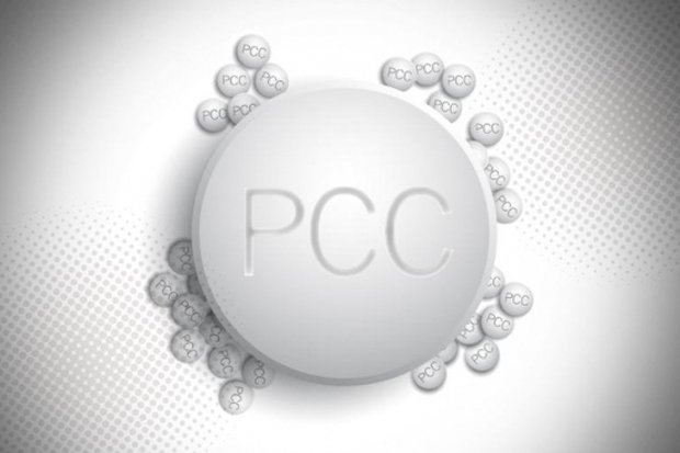 TERKAIT KASUS PCC, DINAS PENDIDIKAN MINTA SEKOLAH TINGKATKAN KEWASPADAAN