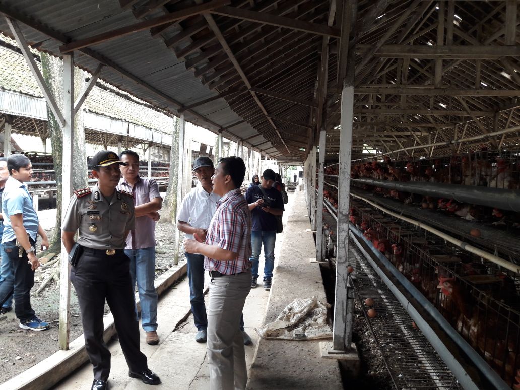 POLRES BLITAR : PRODUKSI DAN DISTRIBUSI TELUR DI KABUPATEN BLITAR TIDAK ADA KENDALA