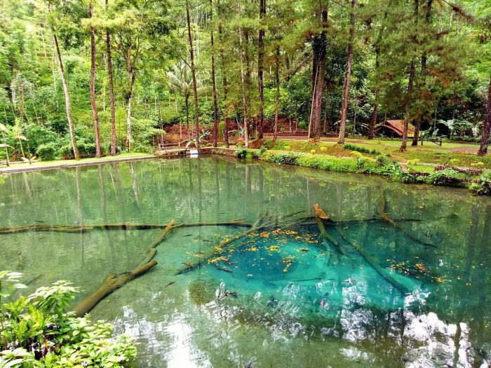 PEMKAB BLITAR ANGGARKAN 8 MILYAR UNTUK PENYELESAIAN PEMBANGUNAN JALAN MENUJU WISATA SIRAH KENCONG