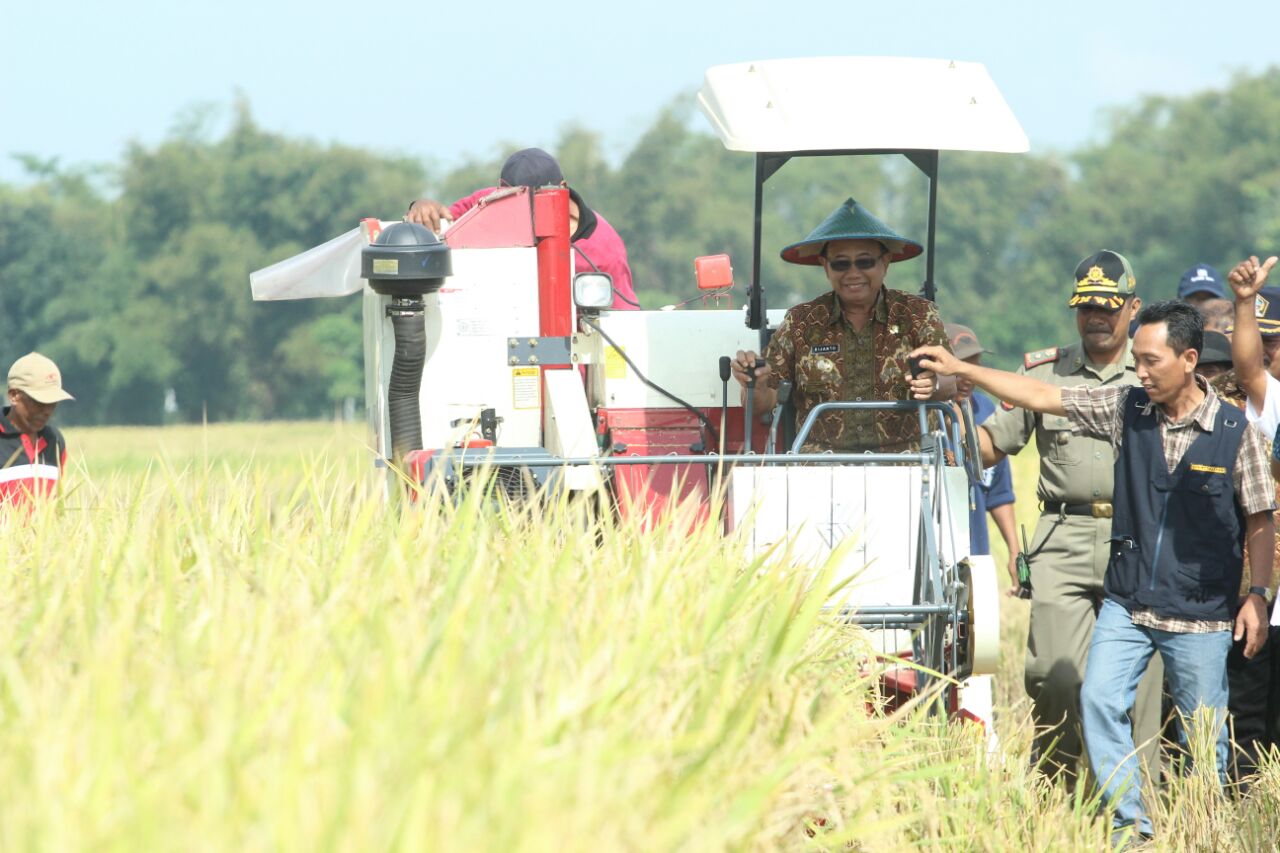 TEKNOLOGI PERTANIAN, BANTU PETANI LEBIH PRODUKTIF