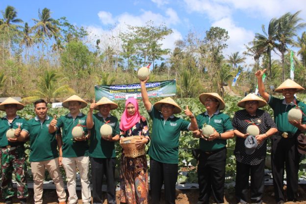 Bertani Hortikultura, Blitar Selatan Panen Raya Melon