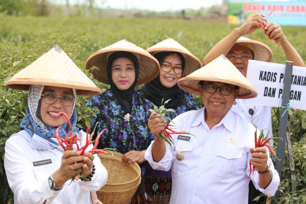 Bupati Blitar Hadiri Panen Raya Cabe Kriting di Kecamatan Binangun