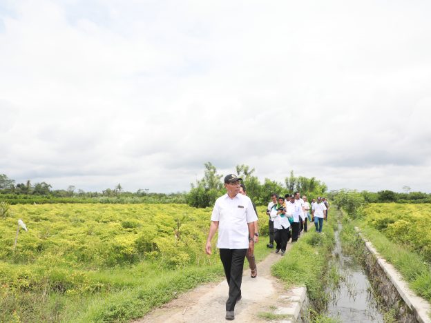 Pantau Pasokan Cabai, Sekdintangan Pemkab Blitar Dampingi Direktur Perbenihan Hortikultura Kementan RI