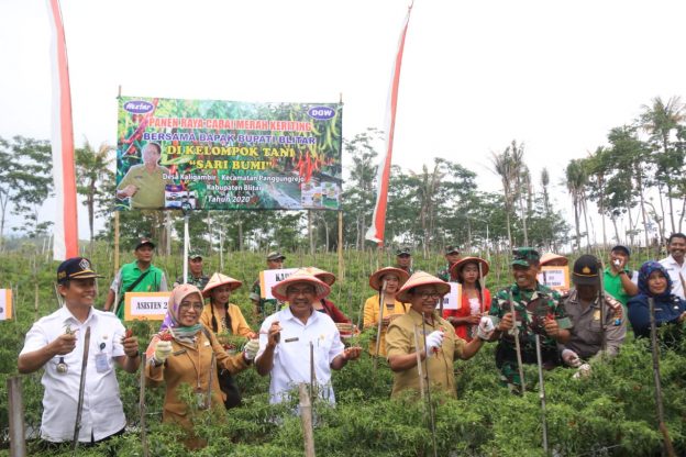 Bupati Rijanto Resmikan Embung dan Panen Cabai Keriting di Desa Kaligambir