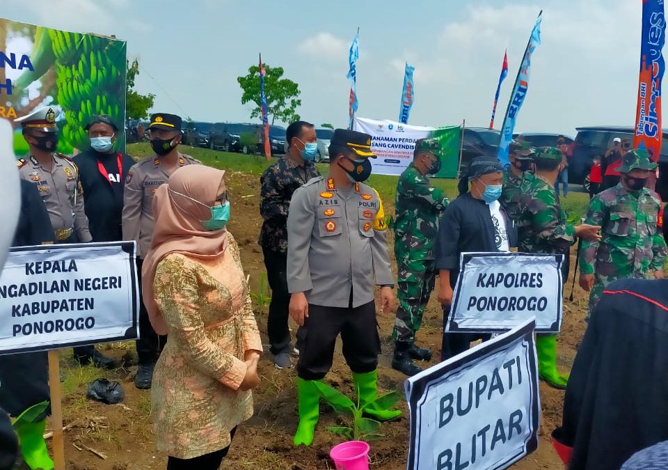 Bupati Blitar Hadiri Pencanangan Penanaman Pisang Cavendis di Kabupaten Ponorogo