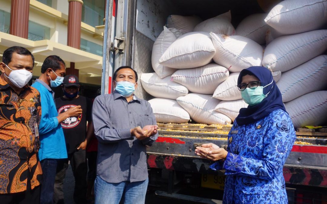 Kendalikan Kenaikan Harga Jagung, Bupati Blitar Terima Bantuan Jagung Kering dari Kementrian Pertanian