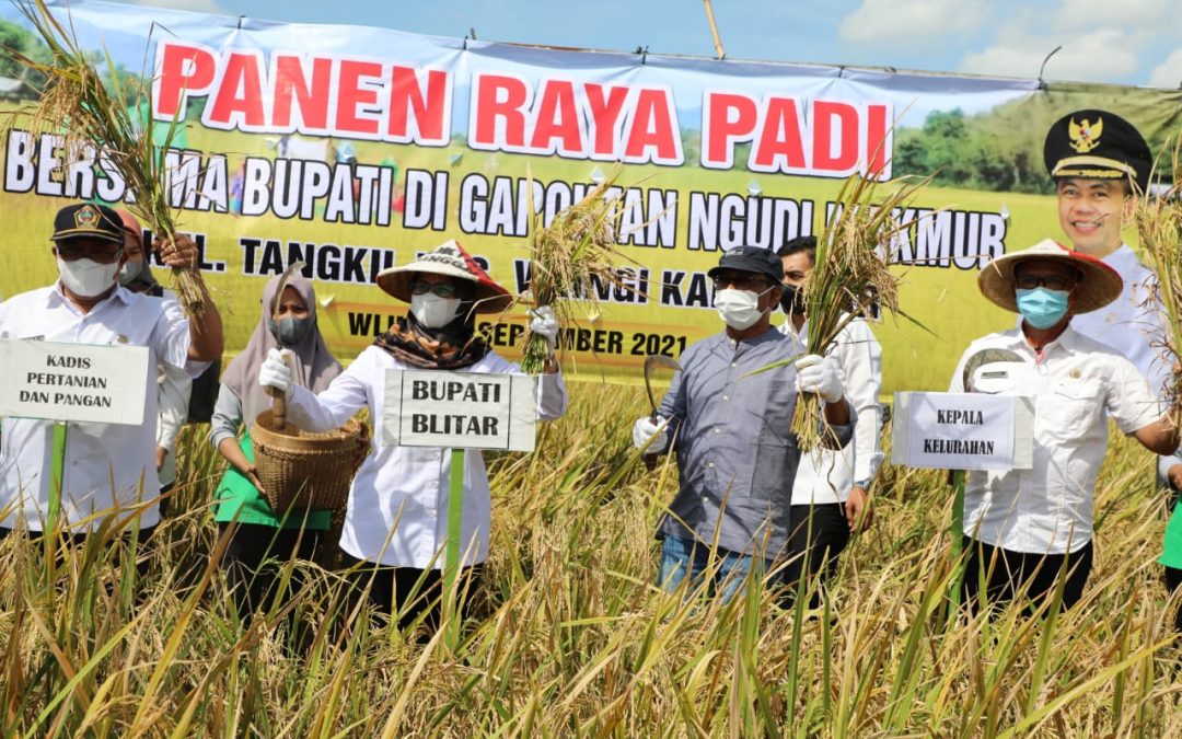 Panen Raya Padi, Mak Rini Ajak Petani Bergotong Royong Naikkan Potensi Pertanian