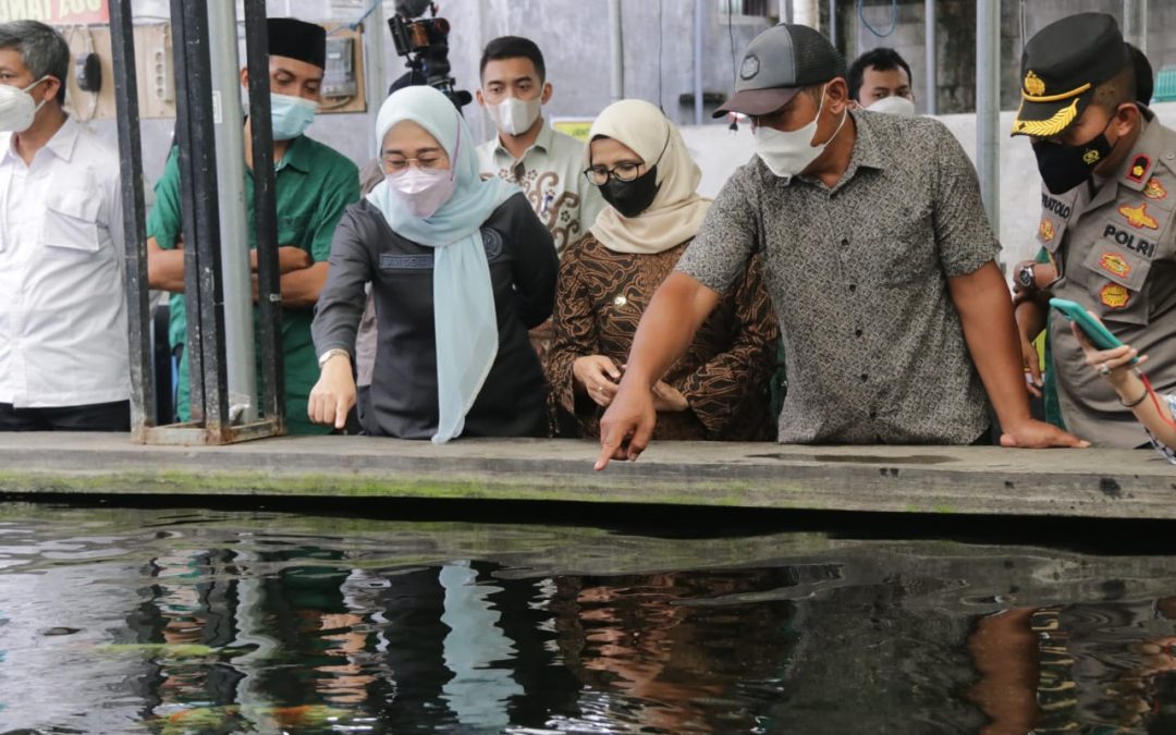 Kementerian KKP Dorong Desa Bendosari Menjadi Sentra Ikan Koi