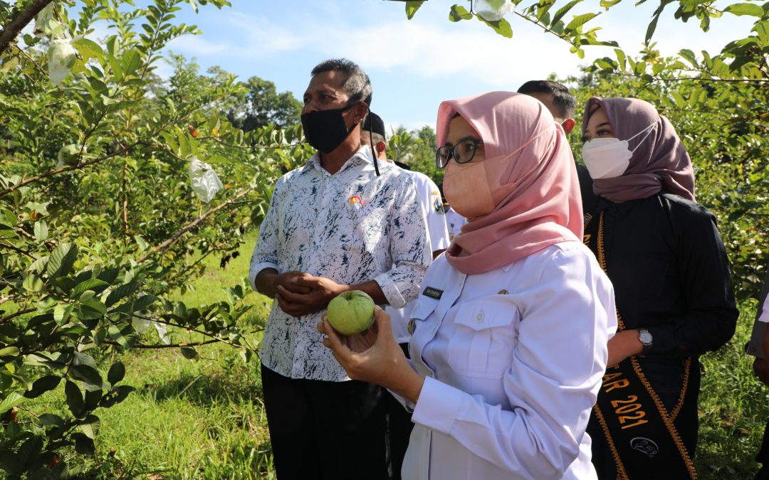 Bupati Blitar Terus Dukung Perekonomian Desa Lewat OVOP