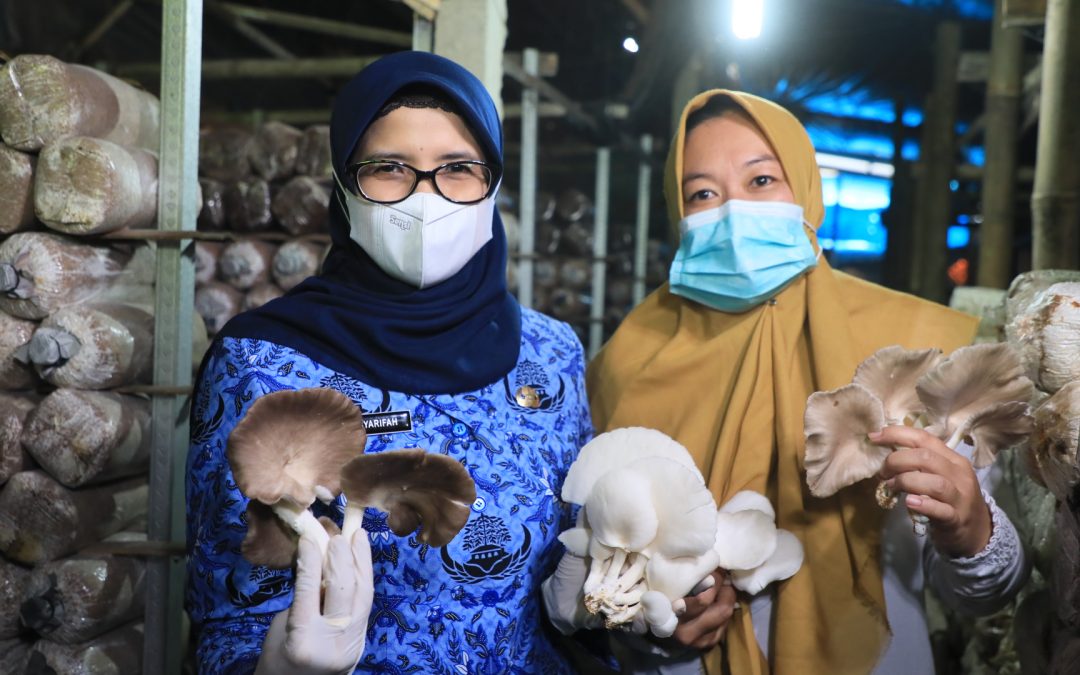 Bupati Blitar Tinjau Produk Unggulan Kecamatan Wonodadi