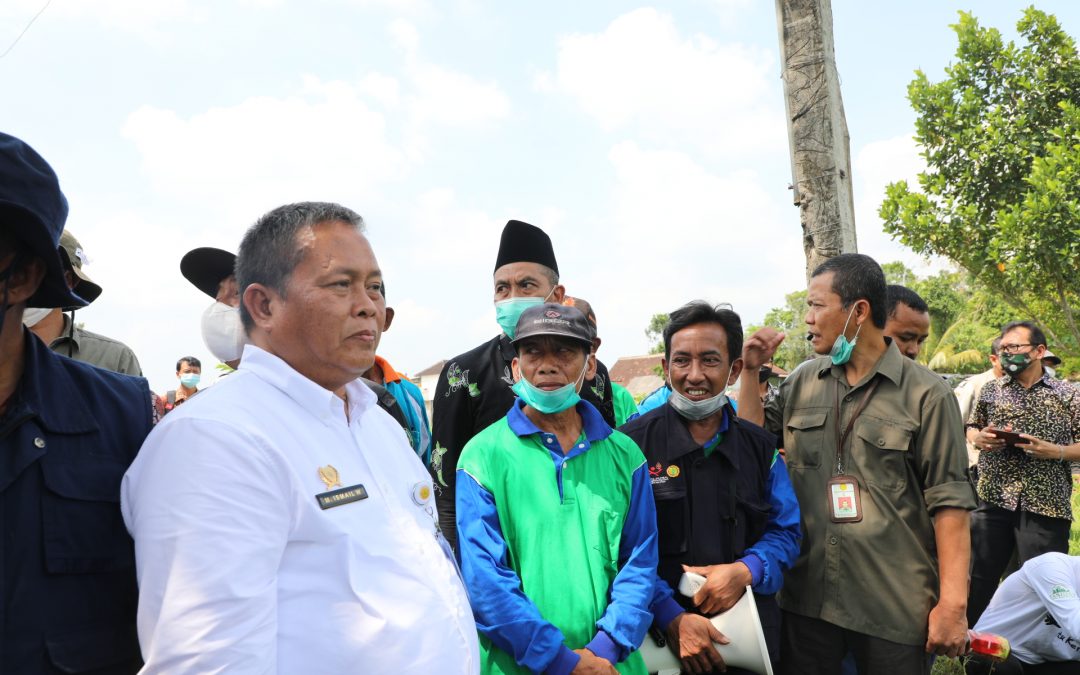 Kementerian Pertanian RI Tinjau Inovasi Bercocok Taman Teknik Biosaka Di Kabupaten Blitar