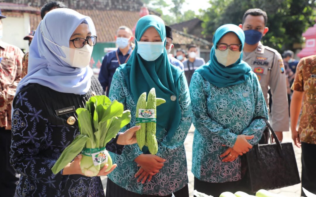 Bupati Blitar Gelar OVOP di Wilayah Blitar Bagian Barat