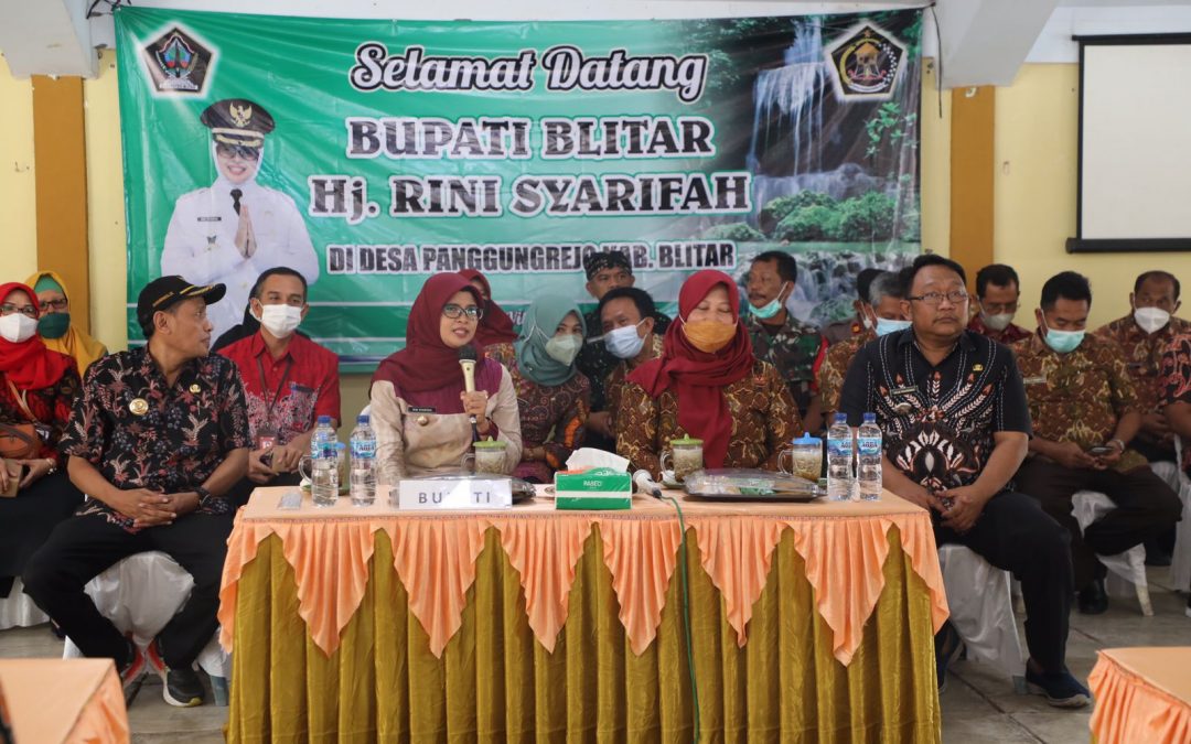 Bupati Blitar Apresiasi Potensi Desa di Kecamatan Panggungrejo