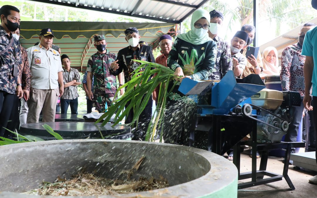 Guna Kembangkan Produksi Ternak, Pemkab Blitar Berikan Bantuan dan Resmikan Bank Pakan di Kecamatan Nglegok