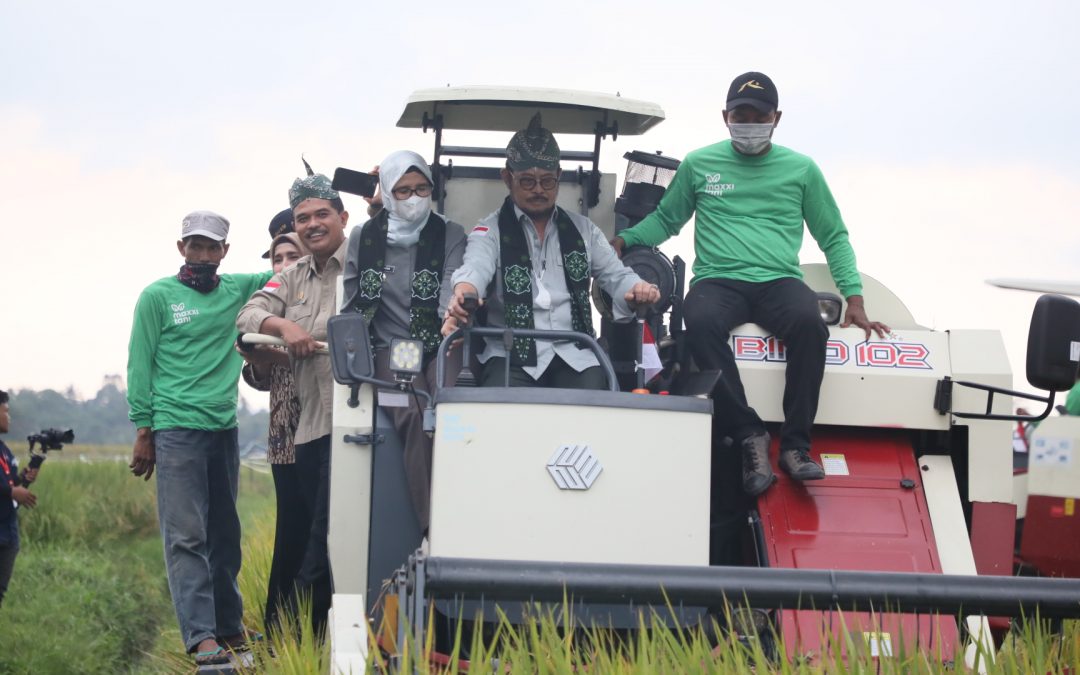 Menteri Pertanian Panen Padi Aplikasi Biosaka di Pemkab Blitar