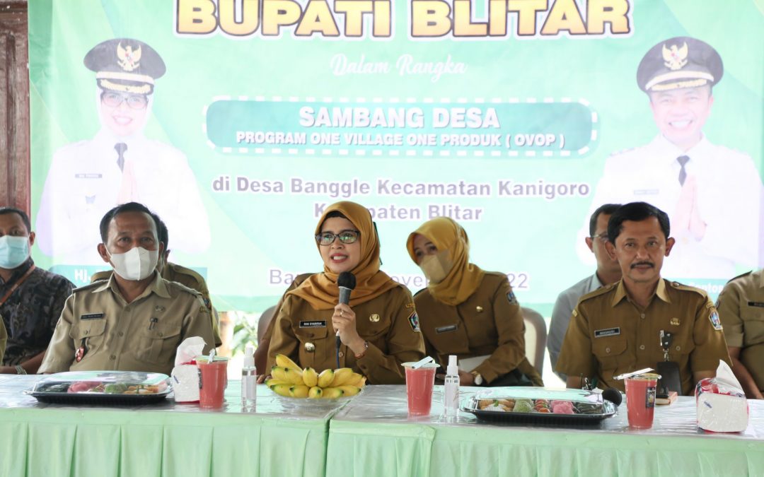 Tingkatkan Perekonomian di Tingkat Desa, Pemkab Blitar Rutin Lakukan Sambang Desa