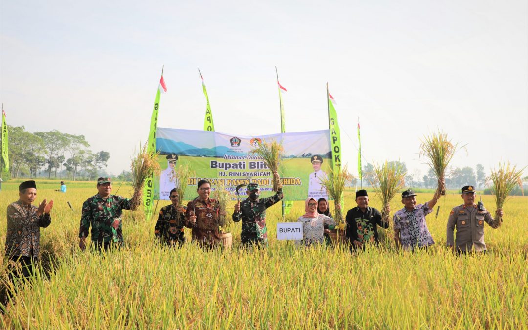 Hadiri Panen Padi Inbrida di Desa Dadaplangu, Mak Rini Ajak Masyarakat Tanam Padi dengan Elisitor Biosaka