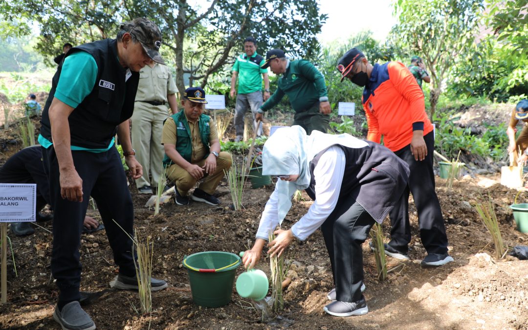 Tanggulangi Longsor di Blitar Selatan, Pemkab Blitar Serahkan 25 Ribu Tanaman Rumput Vetiver