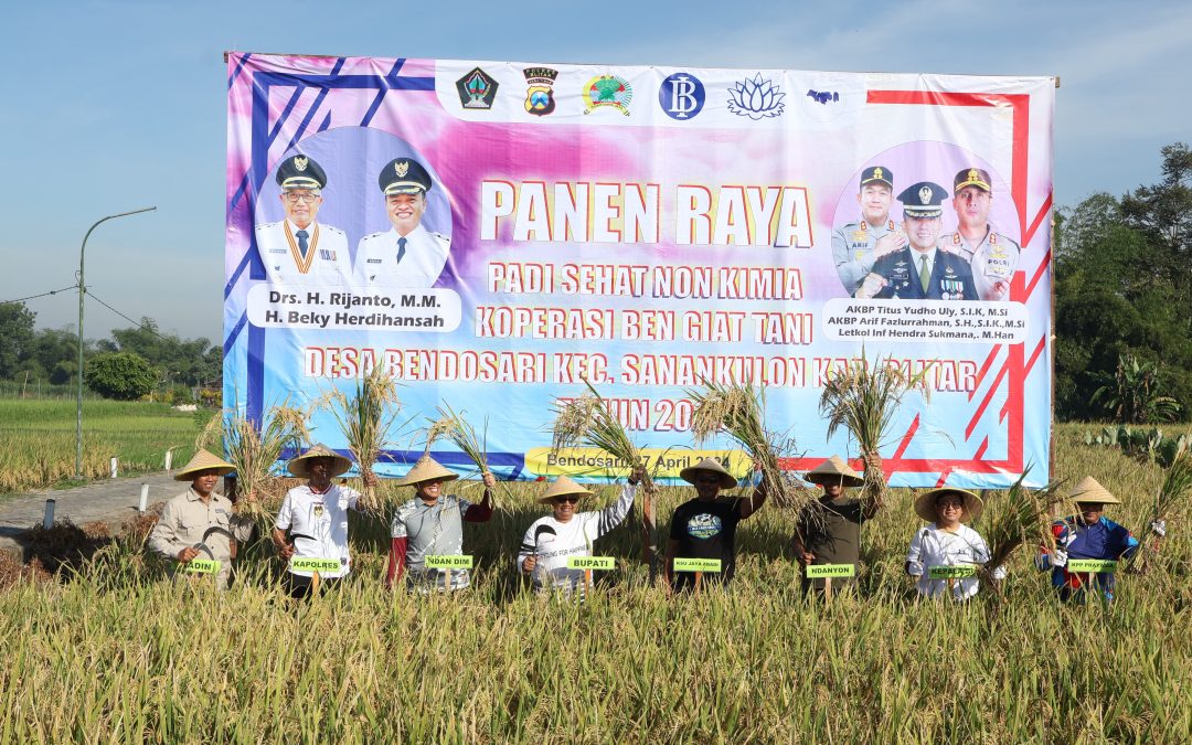 Panen Raya dan Sosialisasi Padi Sehat Non Kimia di Desa Bendosari Sanankulon