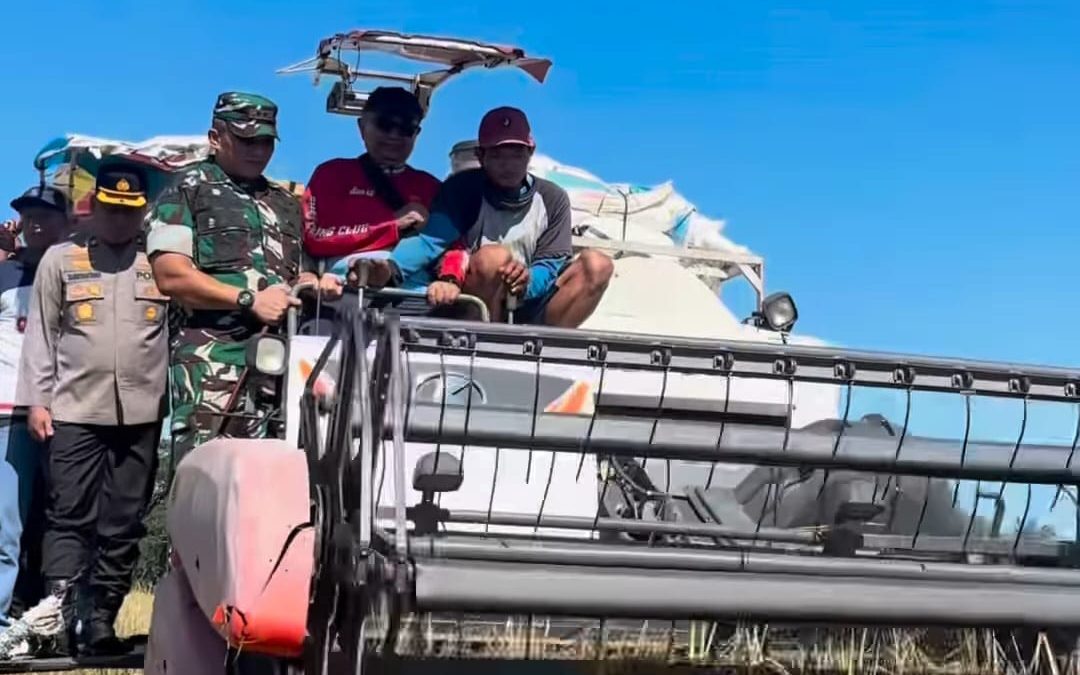 Pemerintah Kabupaten Blitar Ikuti Panen Raya Serentak 14 Provinsi Sentra Utama Padi