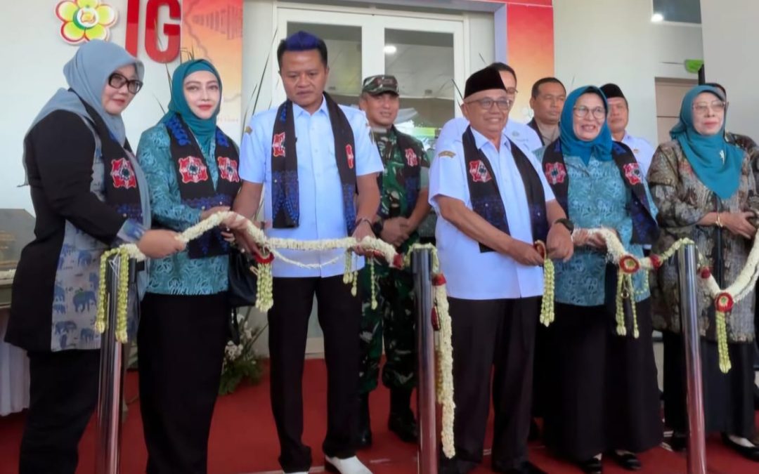 Peresmian Gedung Medik Sentral Rumah Sakit Umum An-Nisaa Husada