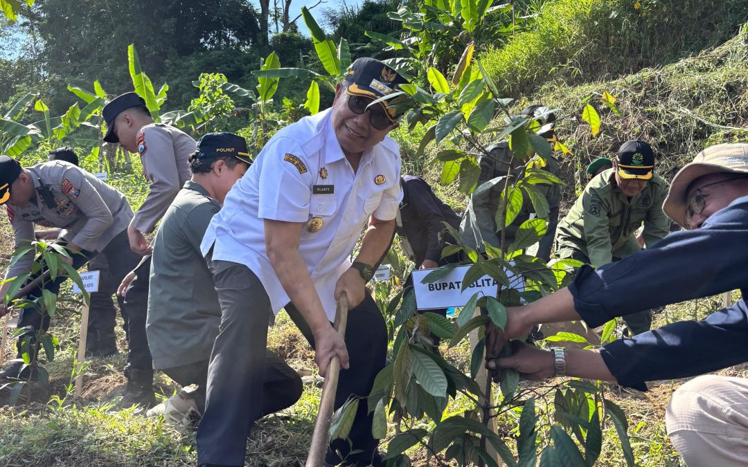 Penghijauan di Aliran Kali Bladak Penataran Nglegok