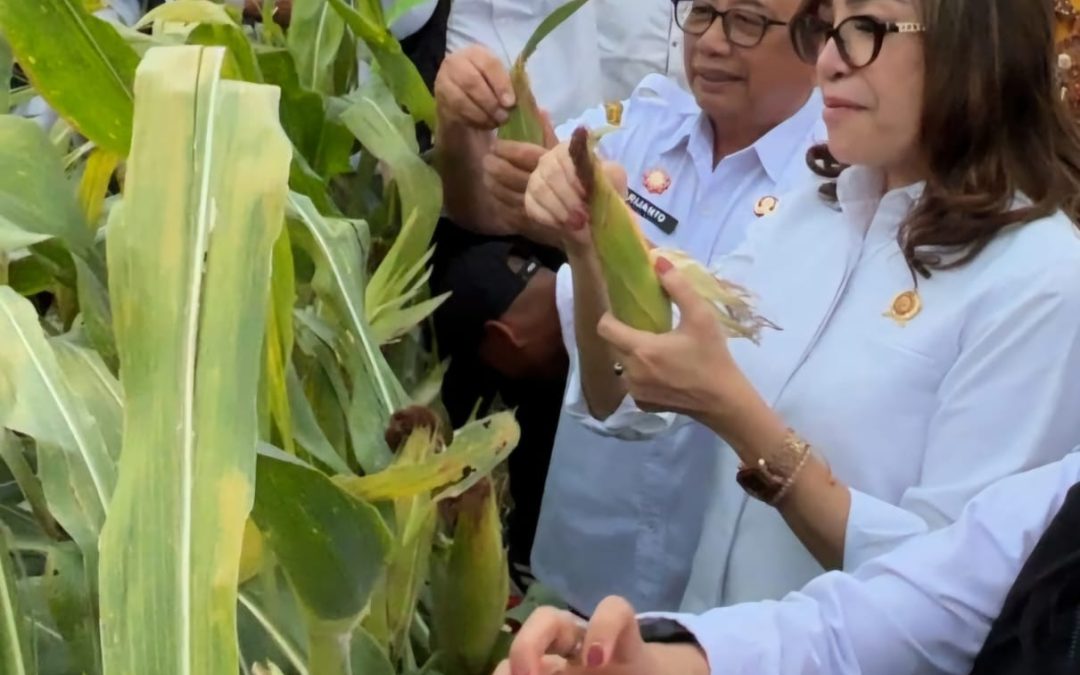 Bupati Blitar Dampingi Kunjungan Direktur Jenderal Penataan Agraria Kementrian ATR/BPN di Desa Soso