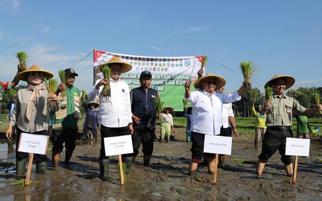 Tingkatkan Swasembada Pangan, Pemkab Blitar Ikuti Tanam Padi Serentak