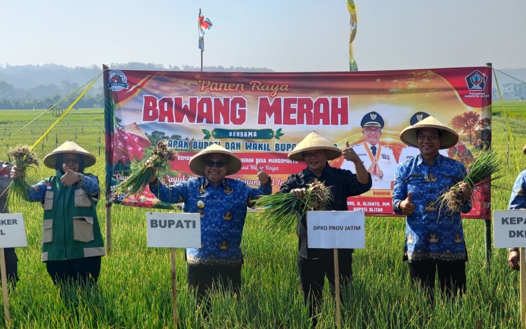 Panen Bawang Merah, Pemkab Blitar Dorong Peningkatan Produktivitas dan Regenerasi Petani
